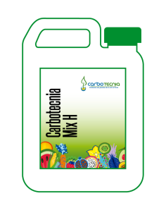 CARBOTECNIA MIX H 5 LT