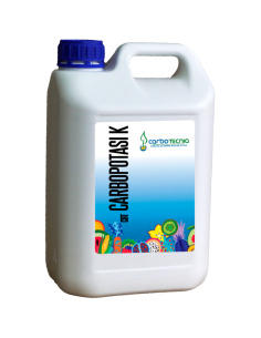 CARBOTECNIA CARBOPOTASIKA 1L